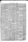 Hyde & Glossop Weekly News, and North Cheshire Herald Saturday 06 November 1875 Page 7