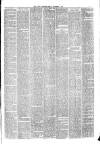 Hyde & Glossop Weekly News, and North Cheshire Herald Saturday 04 December 1875 Page 3