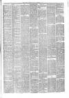 Hyde & Glossop Weekly News, and North Cheshire Herald Saturday 11 December 1875 Page 7