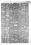 Hyde & Glossop Weekly News, and North Cheshire Herald Saturday 08 January 1876 Page 5