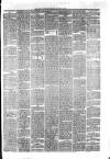 Hyde & Glossop Weekly News, and North Cheshire Herald Saturday 08 January 1876 Page 7