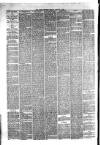 Hyde & Glossop Weekly News, and North Cheshire Herald Saturday 08 January 1876 Page 8
