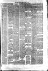Hyde & Glossop Weekly News, and North Cheshire Herald Saturday 15 January 1876 Page 7