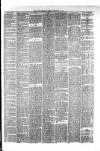 Hyde & Glossop Weekly News, and North Cheshire Herald Saturday 05 February 1876 Page 3