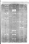 Hyde & Glossop Weekly News, and North Cheshire Herald Saturday 05 February 1876 Page 5