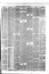 Hyde & Glossop Weekly News, and North Cheshire Herald Saturday 05 February 1876 Page 7