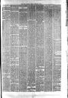 Hyde & Glossop Weekly News, and North Cheshire Herald Saturday 12 February 1876 Page 7