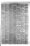 Hyde & Glossop Weekly News, and North Cheshire Herald Saturday 19 February 1876 Page 3