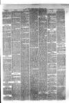 Hyde & Glossop Weekly News, and North Cheshire Herald Saturday 19 February 1876 Page 5