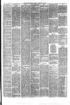 Hyde & Glossop Weekly News, and North Cheshire Herald Saturday 26 February 1876 Page 3