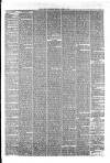 Hyde & Glossop Weekly News, and North Cheshire Herald Saturday 01 April 1876 Page 3