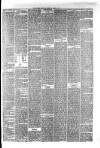 Hyde & Glossop Weekly News, and North Cheshire Herald Saturday 01 April 1876 Page 7