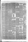 Hyde & Glossop Weekly News, and North Cheshire Herald Saturday 13 May 1876 Page 3