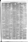 Hyde & Glossop Weekly News, and North Cheshire Herald Saturday 13 May 1876 Page 7