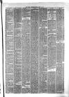 Hyde & Glossop Weekly News, and North Cheshire Herald Saturday 27 May 1876 Page 3