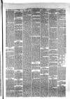 Hyde & Glossop Weekly News, and North Cheshire Herald Saturday 27 May 1876 Page 5