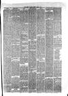 Hyde & Glossop Weekly News, and North Cheshire Herald Saturday 27 May 1876 Page 7