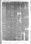 Hyde & Glossop Weekly News, and North Cheshire Herald Saturday 17 June 1876 Page 3