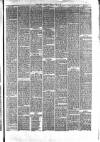 Hyde & Glossop Weekly News, and North Cheshire Herald Saturday 17 June 1876 Page 7