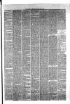 Hyde & Glossop Weekly News, and North Cheshire Herald Saturday 24 June 1876 Page 3