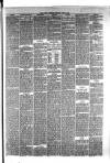 Hyde & Glossop Weekly News, and North Cheshire Herald Saturday 24 June 1876 Page 5