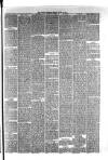 Hyde & Glossop Weekly News, and North Cheshire Herald Saturday 24 June 1876 Page 7