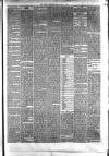 Hyde & Glossop Weekly News, and North Cheshire Herald Saturday 01 July 1876 Page 3