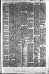 Hyde & Glossop Weekly News, and North Cheshire Herald Saturday 15 July 1876 Page 3