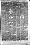 Hyde & Glossop Weekly News, and North Cheshire Herald Saturday 15 July 1876 Page 5