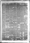 Hyde & Glossop Weekly News, and North Cheshire Herald Saturday 22 July 1876 Page 3
