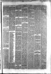 Hyde & Glossop Weekly News, and North Cheshire Herald Saturday 22 July 1876 Page 7