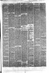 Hyde & Glossop Weekly News, and North Cheshire Herald Saturday 23 September 1876 Page 3