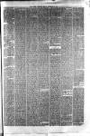 Hyde & Glossop Weekly News, and North Cheshire Herald Saturday 23 September 1876 Page 7