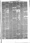 Hyde & Glossop Weekly News, and North Cheshire Herald Saturday 07 October 1876 Page 7