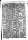 Hyde & Glossop Weekly News, and North Cheshire Herald Saturday 14 October 1876 Page 3