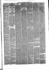 Hyde & Glossop Weekly News, and North Cheshire Herald Saturday 04 November 1876 Page 3