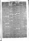 Hyde & Glossop Weekly News, and North Cheshire Herald Saturday 04 November 1876 Page 5