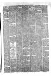 Hyde & Glossop Weekly News, and North Cheshire Herald Saturday 11 November 1876 Page 5