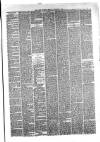 Hyde & Glossop Weekly News, and North Cheshire Herald Saturday 09 December 1876 Page 3