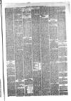 Hyde & Glossop Weekly News, and North Cheshire Herald Saturday 09 December 1876 Page 5