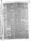 Hyde & Glossop Weekly News, and North Cheshire Herald Saturday 09 December 1876 Page 7