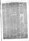 Hyde & Glossop Weekly News, and North Cheshire Herald Saturday 23 December 1876 Page 3