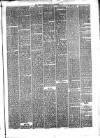 Hyde & Glossop Weekly News, and North Cheshire Herald Saturday 30 December 1876 Page 5