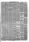 Hyde & Glossop Weekly News, and North Cheshire Herald Saturday 10 February 1877 Page 7