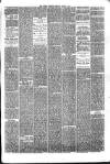 Hyde & Glossop Weekly News, and North Cheshire Herald Saturday 03 March 1877 Page 5