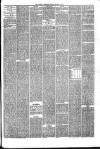 Hyde & Glossop Weekly News, and North Cheshire Herald Saturday 03 March 1877 Page 7