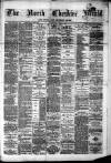 Hyde & Glossop Weekly News, and North Cheshire Herald Saturday 07 April 1877 Page 1