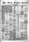 Hyde & Glossop Weekly News, and North Cheshire Herald Saturday 03 November 1877 Page 1
