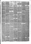 Hyde & Glossop Weekly News, and North Cheshire Herald Saturday 22 December 1877 Page 7