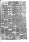 Hyde & Glossop Weekly News, and North Cheshire Herald Saturday 02 March 1878 Page 7